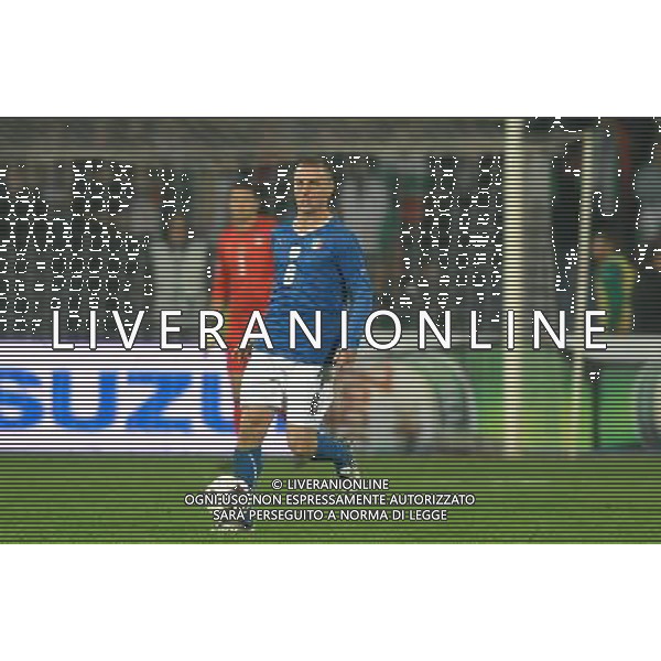 Qualificazioni ai Mondiali Sud Africa 2010 Gruppo 8 Sofia - 11.10.2008 Bulgaria-Italia Nella Foto:DE ROSSI DANIELE /Ph.Vitez-Ag. Aldo Liverani