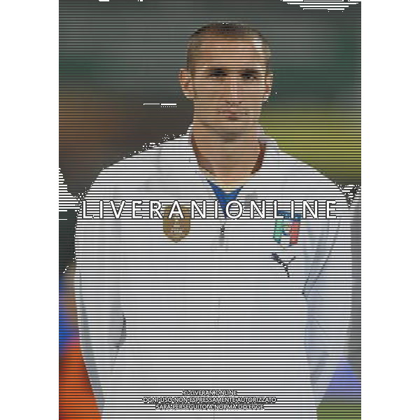 Qualificazioni ai Mondiali Sud Africa 2010 Gruppo 8 Sofia - 11.10.2008 Bulgaria-Italia Nella Foto:CHIELLINI GIORGIO /Ph.Vitez-Ag. Aldo Liverani