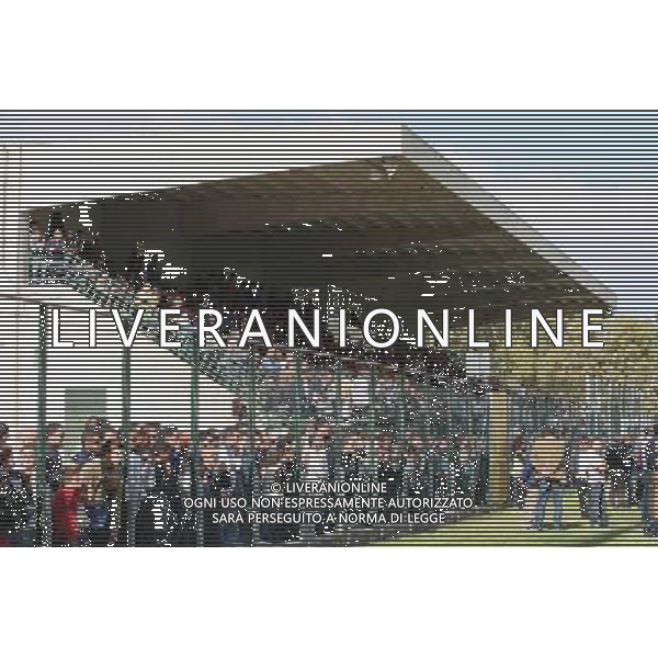 lecce 13/10/2008 allenamento nazionale italiana calcio nella foto PUBBLICO ASSISTE L\'ALLENAMENTO DELLA NAZIONALE ph.AG ALDO LIVERANI SAS