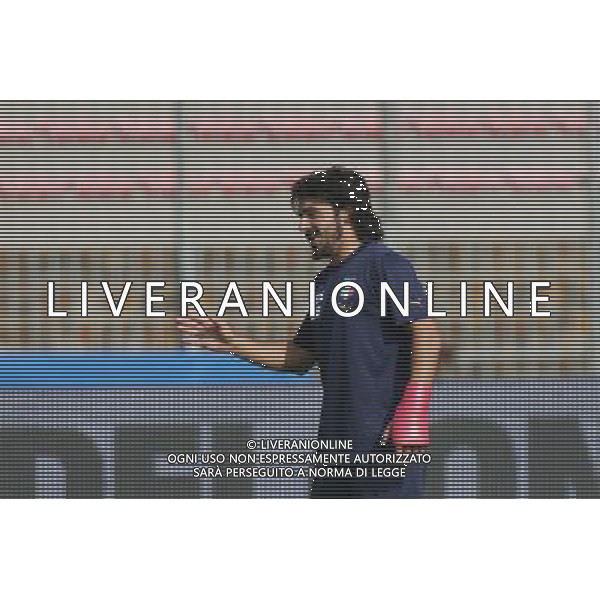 14/10/2008 LECCE ALLENAMENTO ITALIA NELLA FOTO: GATTUSO GENNARO AG ALDO LIVERANI SAS