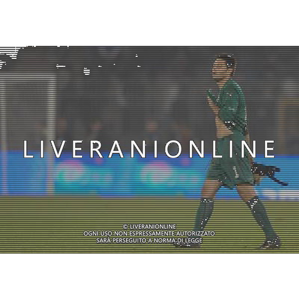 Qualificazioni ai Mondiali Sud Africa 2010 Gruppo 8 Lecce - 15.10.2008 Italia-Montenegro Nella Foto:AMELIA MARCO /Ph.Vitez-Ag. Aldo Liverani