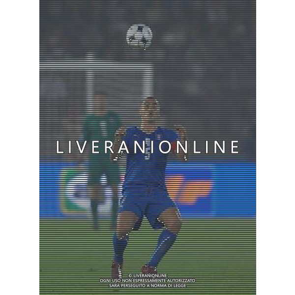 Qualificazioni ai Mondiali Sud Africa 2010 Gruppo 8 Lecce - 15.10.2008 Italia-Montenegro Nella Foto:CANNAVRO FABIO /Ph.Vitez-Ag. Aldo Liverani