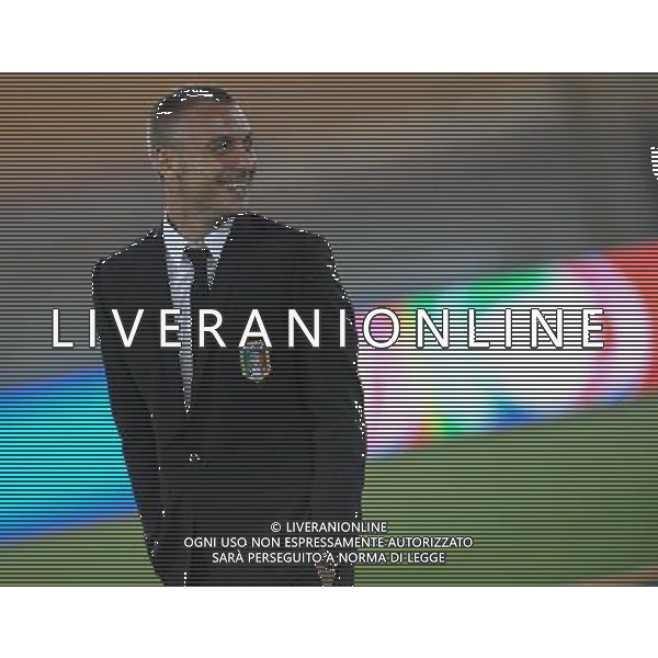 Qualificazioni ai Mondiali Sud Africa 2010 Gruppo 8 Lecce - 15.10.2008 Italia-Montenegro Nella Foto:DE ROSSI DANIELE /Ph.Vitez-Ag. Aldo Liverani