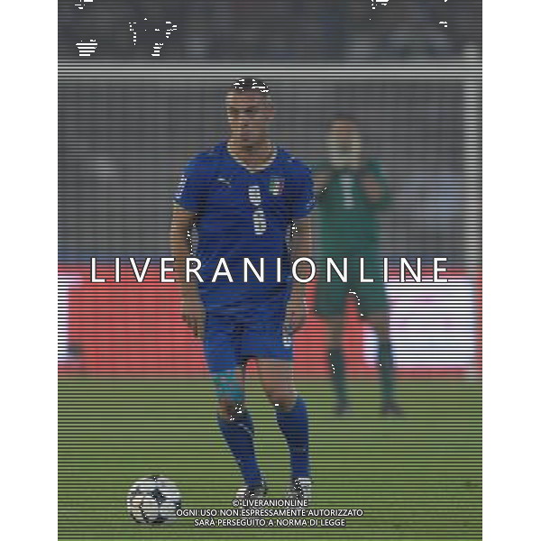 Qualificazioni ai Mondiali Sud Africa 2010 Gruppo 8 Lecce - 15.10.2008 Italia-Montenegro Nella Foto:DE ROSSI DANIELE /Ph.Vitez-Ag. Aldo Liverani