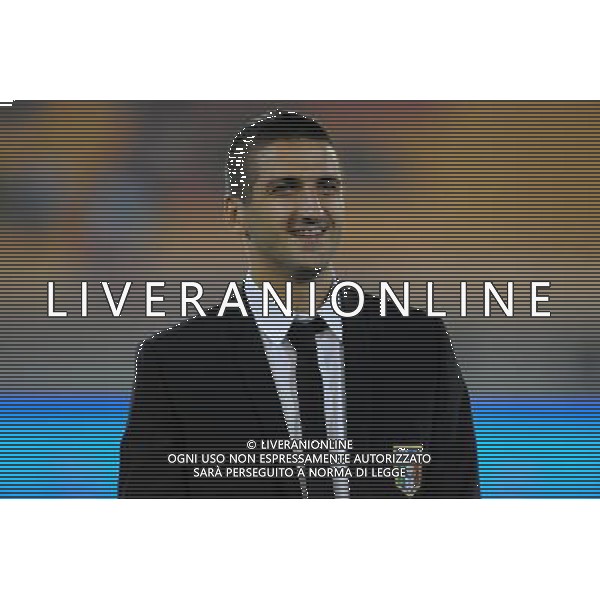 Qualificazioni ai Mondiali Sud Africa 2010 Gruppo 8 Lecce - 15.10.2008 Italia-Montenegro Nella Foto:GAMBERINI ALESSANDRO /Ph.Vitez-Ag. Aldo Liverani