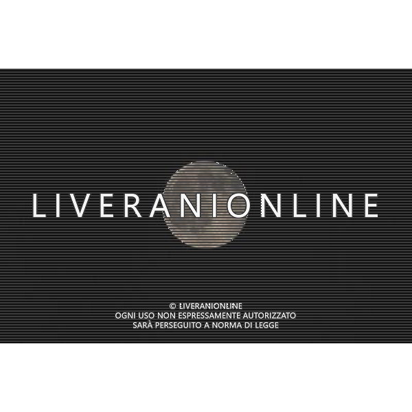 Qualificazioni ai Mondiali Sud Africa 2010 Gruppo 8 Lecce - 15.10.2008 Italia-Montenegro Nella Foto:LUNA /Ph.Vitez-Ag. Aldo Liverani