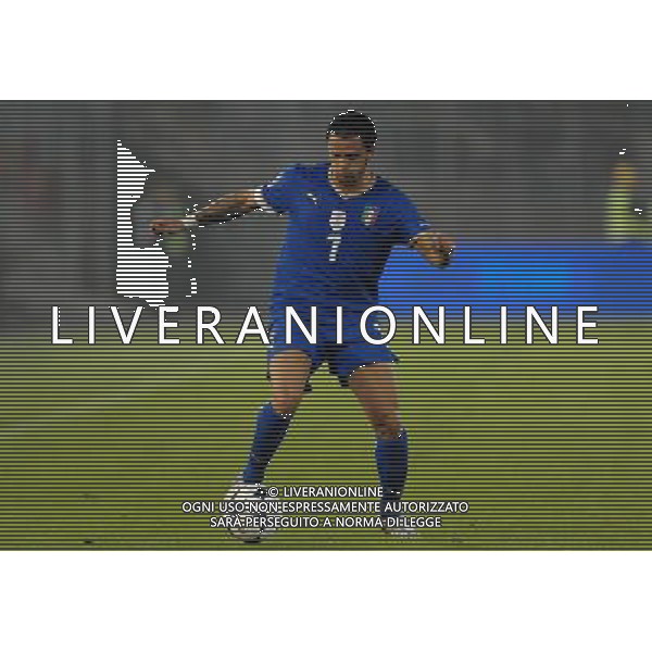 Qualificazioni ai Mondiali Sud Africa 2010 Gruppo 8 Lecce - 15.10.2008 Italia-Montenegro Nella Foto:PEPE SIMONE /Ph.Vitez-Ag. Aldo Liverani