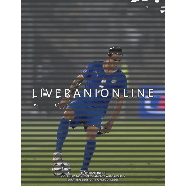 Qualificazioni ai Mondiali Sud Africa 2010 Gruppo 8 Lecce - 15.10.2008 Italia-Montenegro Nella Foto:PEPE SIMONE /Ph.Vitez-Ag. Aldo Liverani