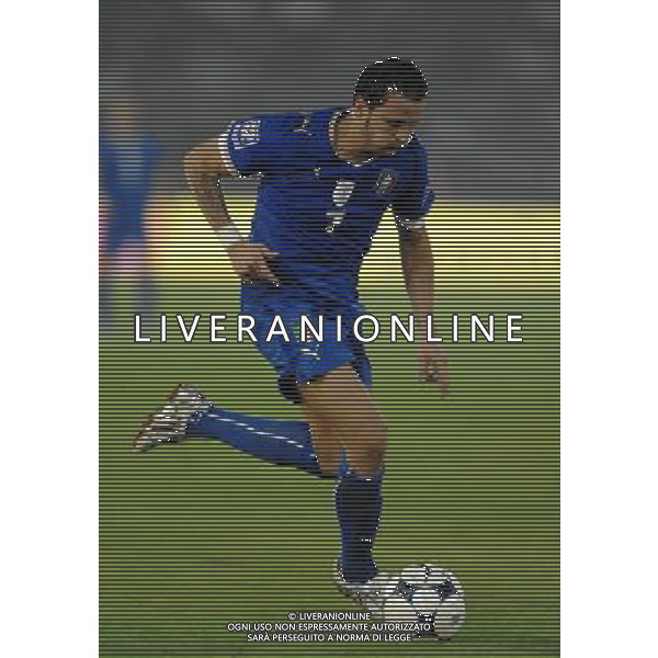 Qualificazioni ai Mondiali Sud Africa 2010 Gruppo 8 Lecce - 15.10.2008 Italia-Montenegro Nella Foto:PEPE SIMONE /Ph.Vitez-Ag. Aldo Liverani