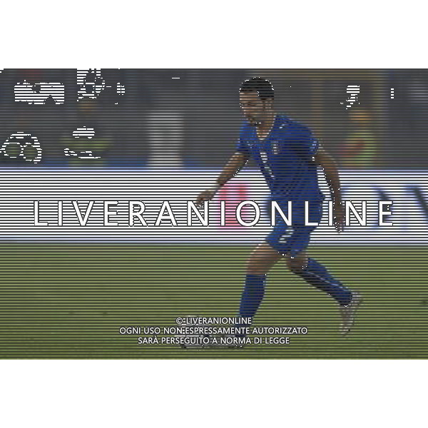 Qualificazioni ai Mondiali Sud Africa 2010 Gruppo 8 Lecce - 15.10.2008 Italia-Montenegro Nella Foto:ZAMBROTTA GIANLUCA /Ph.Vitez-Ag. Aldo Liverani