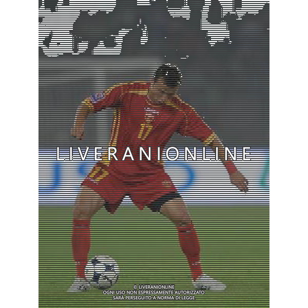 Qualificazioni ai Mondiali Sud Africa 2010 Gruppo 8 Lecce - 15.10.2008 Italia-Montenegro Nella Foto:ZVEROTIC /Ph.Vitez-Ag. Aldo Liverani