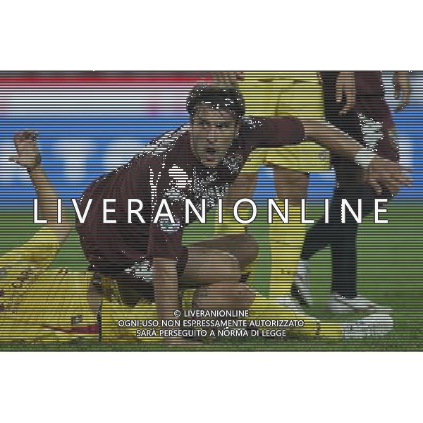 ©Manuela Viganti/Press Photo 01-10-2008 Torino Sport-Calcio Torino Livorno Coppa Italia Tim 2008/2009 Nella foto: Ventola Nicola ag aldo liverani
