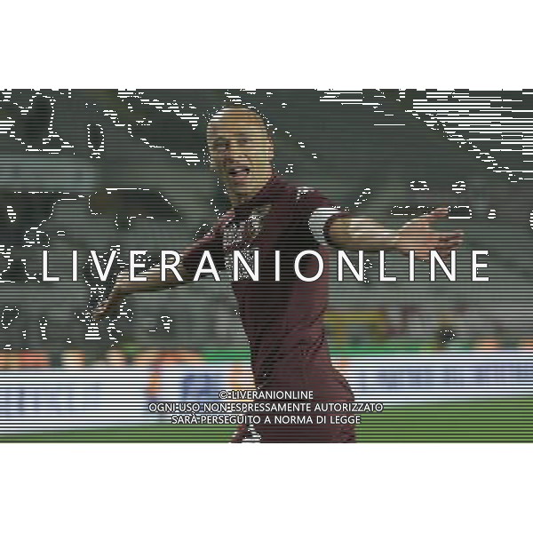 ©Manuela Viganti/Press Photo 01-10-2008 Torino Sport-Calcio Torino Livorno Coppa Italia Tim 2008/2009 Nella foto: Esultanza di Corini dopo il gol ag aldo liverani