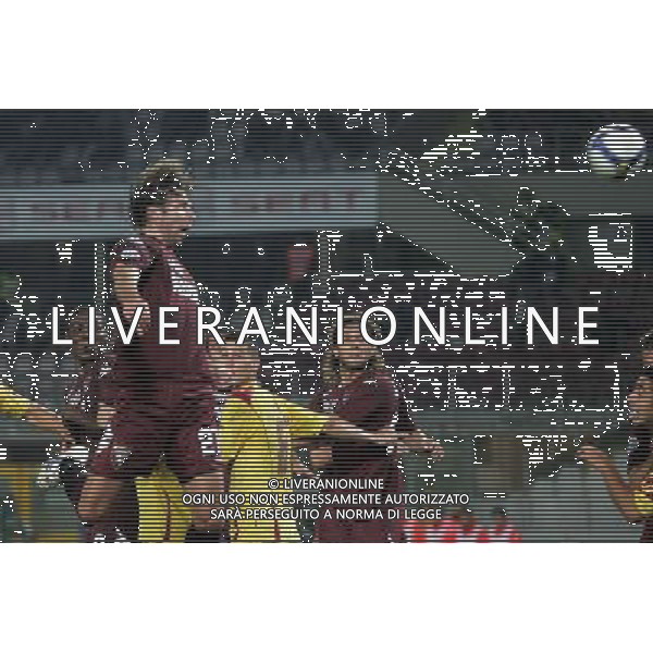 ©Manuela Viganti/Press Photo 01-10-2008 Torino Sport-Calcio Torino Livorno Coppa Italia Tim 2008/2009 Nella foto: gol di zanetti ag aldo liverani