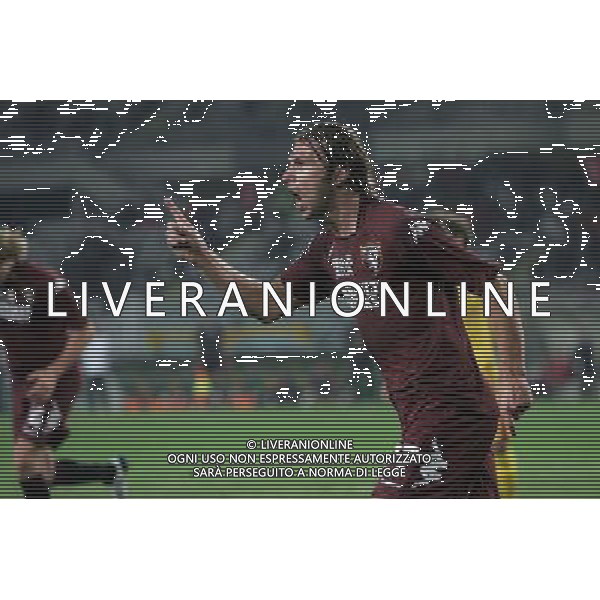 ©Manuela Viganti/Press Photo 01-10-2008 Torino Sport-Calcio Torino Livorno Coppa Italia Tim 2008/2009 Nella foto: Esultanza di Zanetti dopo il gol ag aldo liverani