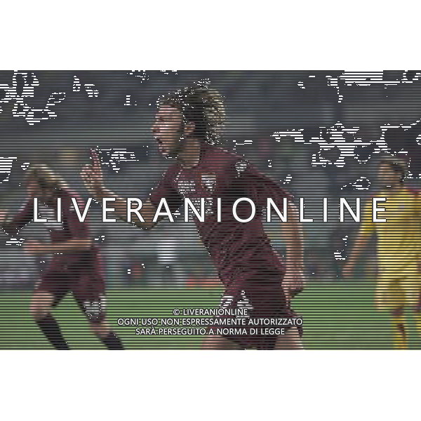 ©Manuela Viganti/Press Photo 01-10-2008 Torino Sport-Calcio Torino Livorno Coppa Italia Tim 2008/2009 Nella foto: Esultanza di Zanetti dopo il gol ag aldo liverani