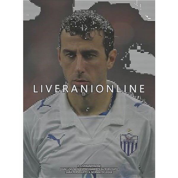 Milano 22-10-2008 Champions League 2008/09 inter-anorthosis famagusta fc 1:0 nella foto predrag ocokoljic ph marco luzzani/ag aldo liverani s.a.s.