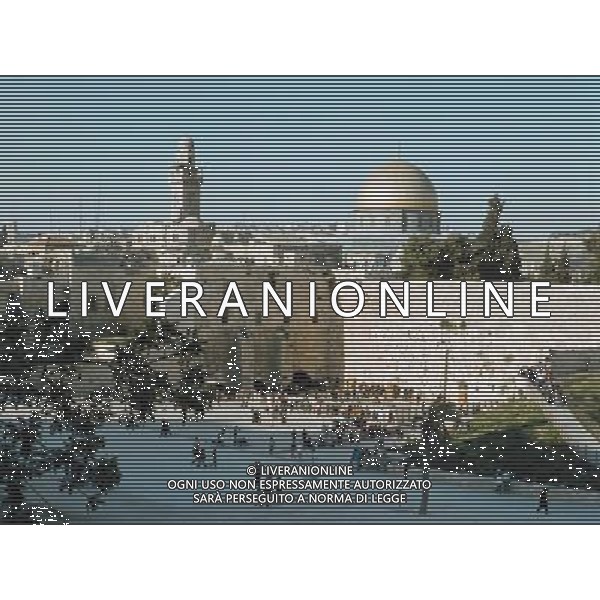 MOSCHEA AGENZIA ALDO LIVERANI SAS
