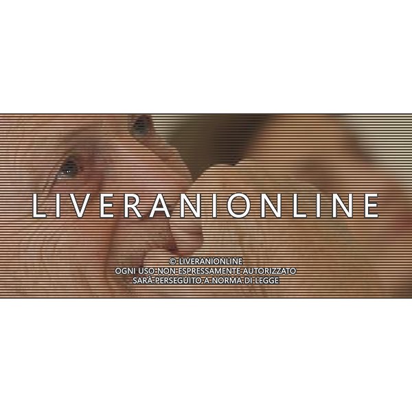 MILANO 12 NOVEMBRE 2008 UMBERTO ORSINI PRESENTA LO SPETTACOLO MOLLY SWEENEY. NELLA FOTO: UMBERTO ORSINI PH FRANCESCO BONFANTI-AG ALDO LIVERANI