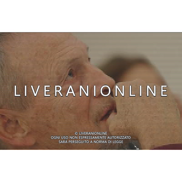 MILANO 12 NOVEMBRE 2008 UMBERTO ORSINI PRESENTA LO SPETTACOLO MOLLY SWEENEY. NELLA FOTO: UMBERTO ORSINI PH FRANCESCO BONFANTI-AG ALDO LIVERANI