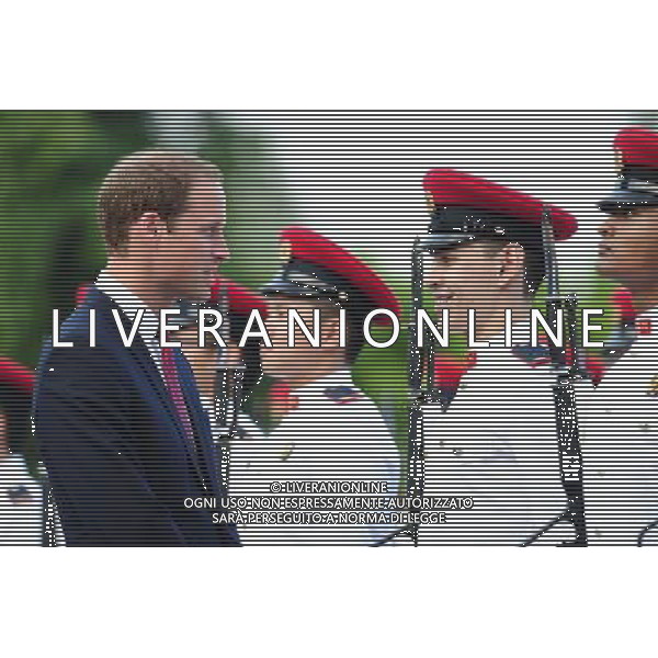 (120911) -- SINGAPORE, Sept. 11, 2012 () -- Britain\'s Prince William (L) inspects the Singapore Armed Forces guard of honour during the welcome ceremony held at the Istana in Singapore, Sept. 11, 2012. Britain\'s Prince William and his wife Kate Middleton, Duke and Duchess of Cambridge, arrived in Singapore on Tuesday for a 3-day official visit marking Queen Elizabeth II\'s Diamond Jubilee. (/Then Chih Wey)(zyw) PHOTOSHOT/AG ALDO LIVERANI SAS - ITALY ONLY -