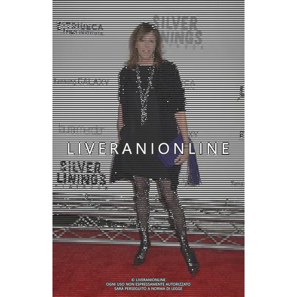 Jane Rosenthal attends the New York Premiere of \' Silver Linings Playbook\' on November 12, 2012 at the Ziegfeld Theatre in New York City. The movie stars Bradley Cooper, Robert De Niro, Jacki Weaver, Chris Tucker, Julia Stiles, John Ortiz, Brea Bee, Anupam Kher, Shea Whigham and is directed by David O. Russell. /AGENZIA ALDO LIVERANI SAS/ITALY ONLY - EDITORIAL USE ONLY