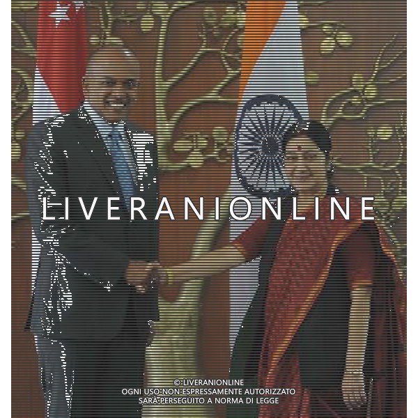 (140701) -- NEW DELHI, July 1, 2014 () -- Indian Minister of External Affairs Sushma Swaraj (R) shakes hands with Law K. Shanmugam, Singaporean Minister for Foreign Affairs and Law, in New Delhi, India, July 1, 2014. (/Partha Sarkar) (dzl) ©photoshot/Agenzia Aldo Liverani sas - ITALY ONLY - EDITORIAL USE ONLY
