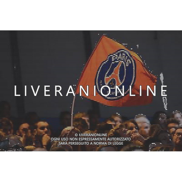 drapeau PSG - 25.10.2015 - PSG / Veszprem - Champions League Photo : Nolwenn Le Gouic / Icon Sport /AGENZIA ALDO LIVERANI SAS - Italy Only editorial use only