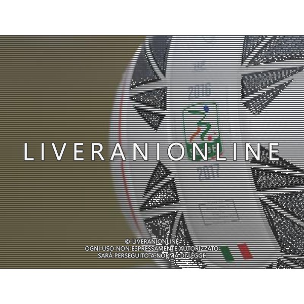 Campionato di Calcio Serie B ConTe.it 2016/2017 24a Giornata Ferrara - 04.02.2017 Spal-Ascoli Nella Foto:Calcio Particolare Pallone Serie B /Ph.Vitez-Ag. Aldo Liverani