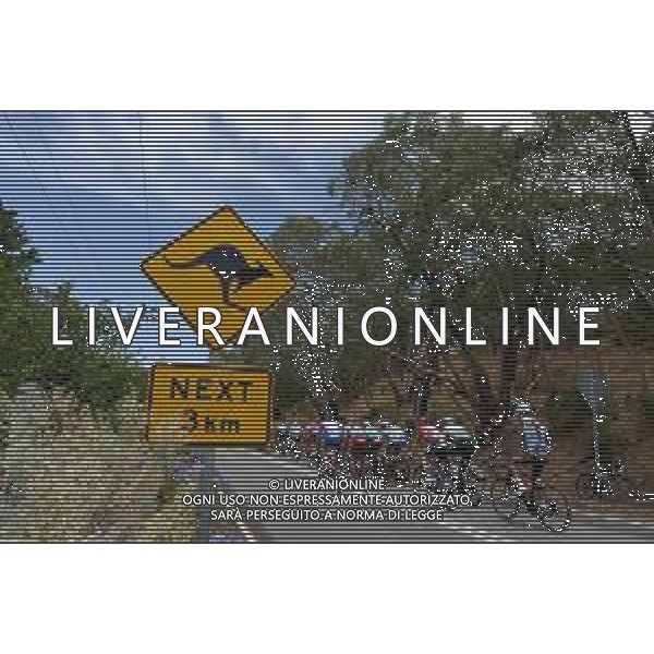 15-01-2019 Tour Down Under; Tappa 01 North Adelaide - Port Adelaide; FOTO STEFANO SIROTTI-AG ALDO LIVERANI SAS