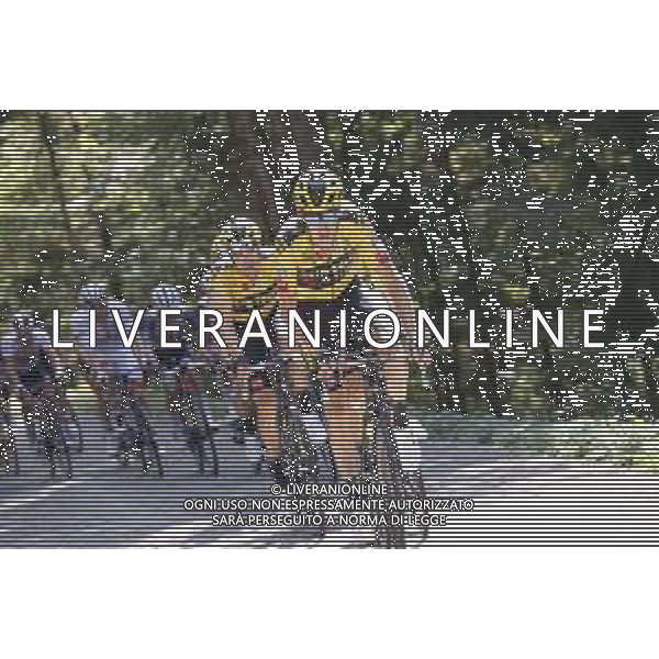 13-09-2020 Tour De France; Tappa 15 Lyon - Grand Colombier; 2020, Jumbo - Visma; Gesink, Robert; Grand Colombier; ©SIROTTI / AGENZIA ALDO LIVERANI SAS