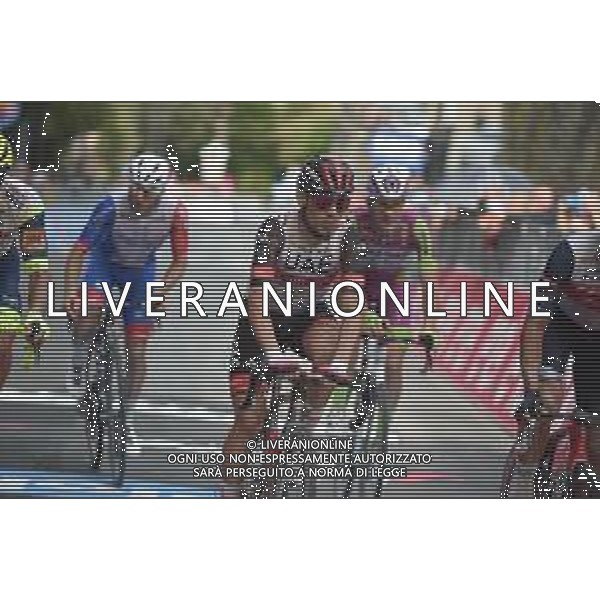 19-05-2021 Giro D\'italia; Tappa 11 Perugia - Montalcino; 2021, Uae - Emirates; Ulissi, Diego; Montalcino; ©SIROTTI /AGENZIA ALDO LIVERANI SAS