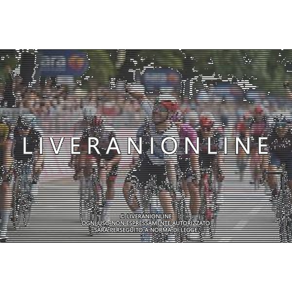 21-05-2021 Giro D\'italia; Tappa 13 Ravenna - Verona; 2021, Qhubeka - Assos; Nizzolo, Giacomo; Verona; ©SIROTTI/AGENZIA ALDO LIVERANI SAS