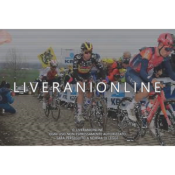 02-04-2023 Tour Des Flandres; 2023, Soudal - Quickstep; Merlier, Tim; Paterberg; ©SIROTTI / AGENZIA ALDO LIVERANI SAS